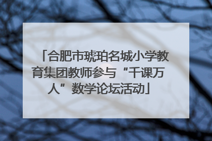 合肥市琥珀名城小学教育集团教师参与“千课万人”数学论坛活动