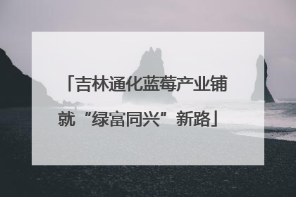 吉林通化蓝莓产业铺就“绿富同兴”新路