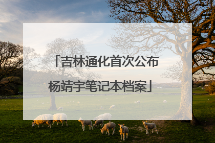 吉林通化首次公布杨靖宇笔记本档案