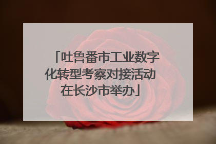 吐鲁番市工业数字化转型考察对接活动在长沙市举办
