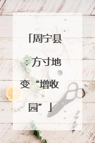 周宁县：方寸地变“增收园”
