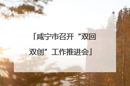 咸宁市召开“双回双创”工作推进会