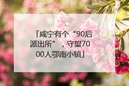 咸宁有个“90后派出所”，守望7000人鄂南小镇