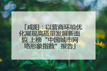 咸阳：以营商环境优化展现高质量发展新面貌 上榜“中国城市网络形象指数”报告