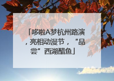 哆啦A梦杭州路演，亮相动漫节，“品尝”西湖醋鱼