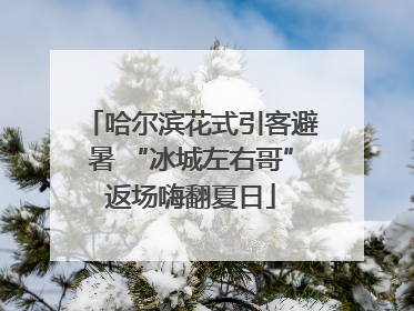 哈尔滨花式引客避暑 “冰城左右哥”返场嗨翻夏日