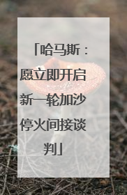 哈马斯：愿立即开启新一轮加沙停火间接谈判