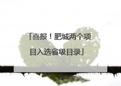 喜报！肥城两个项目入选省级目录