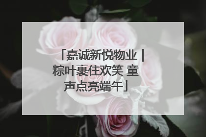 嘉诚新悦物业｜粽叶裹住欢笑 童声点亮端午