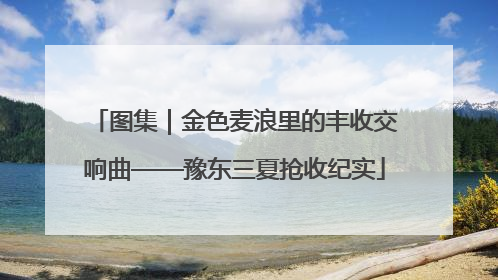 图集｜金色麦浪里的丰收交响曲——豫东三夏抢收纪实