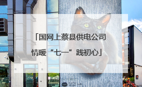国网上蔡县供电公司情暖“七一”践初心