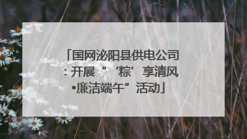 国网泌阳县供电公司：开展“‘粽’享清风 •廉洁端午”活动