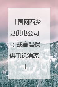 国网西乡县供电公司：战高温保供电送清凉