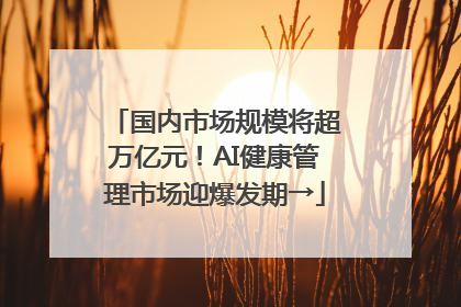 国内市场规模将超万亿元！AI健康管理市场迎爆发期→