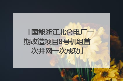 国能浙江北仑电厂一期改造项目8号机组首次并网一次成功