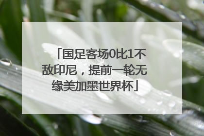国足客场0比1不敌印尼，提前一轮无缘美加墨世界杯