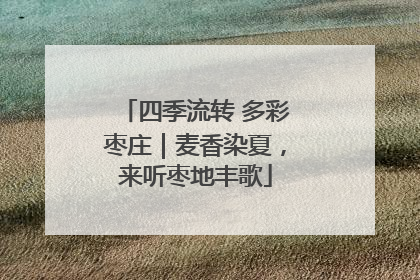 四季流转 多彩枣庄｜麦香染夏，来听枣地丰歌