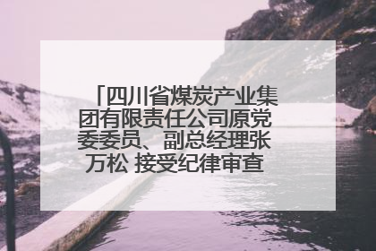 四川省煤炭产业集团有限责任公司原党委委员、副总经理张万松 接受纪律审查和监察调查