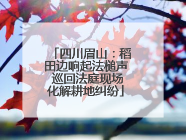 四川眉山：稻田边响起法槌声 巡回法庭现场化解耕地纠纷