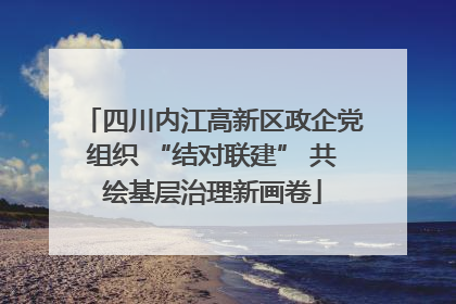 四川内江高新区政企党组织 “结对联建” 共绘基层治理新画卷