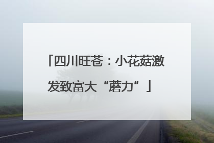 四川旺苍：小花菇激发致富大“蘑力”