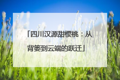 四川汉源甜樱桃：从背篓到云端的跃迁
