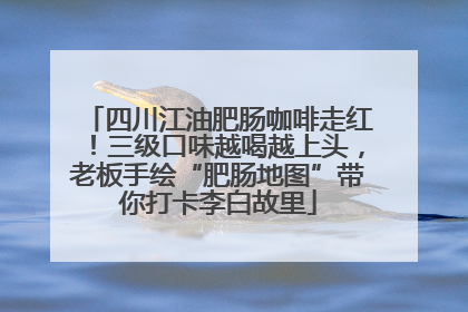 四川江油肥肠咖啡走红！三级口味越喝越上头，老板手绘“肥肠地图”带你打卡李白故里