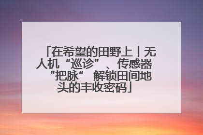 在希望的田野上丨无人机“巡诊”、传感器“把脉” 解锁田间地头的丰收密码