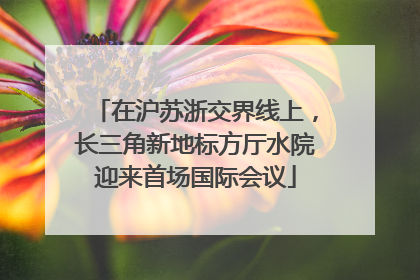 在沪苏浙交界线上，长三角新地标方厅水院迎来首场国际会议