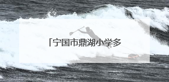 宁国市鼎湖小学多措并举开展防溺水安全教育系列活动