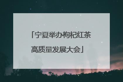 宁夏举办枸杞红茶高质量发展大会
