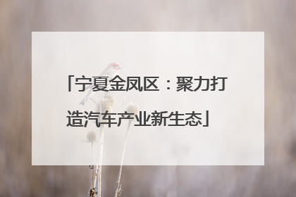 宁夏金凤区：聚力打造汽车产业新生态