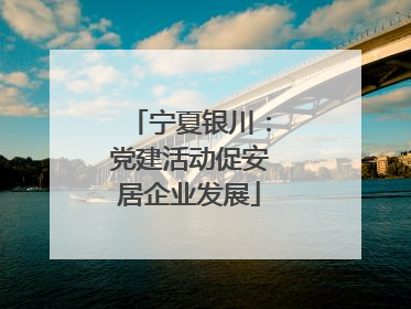 宁夏银川：党建活动促安居企业发展