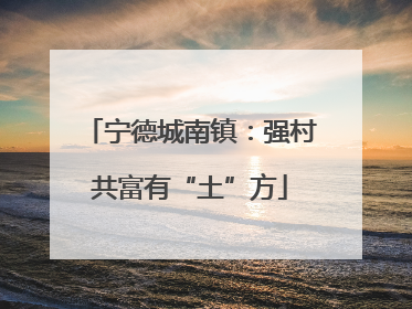 宁德城南镇：强村共富有“土”方