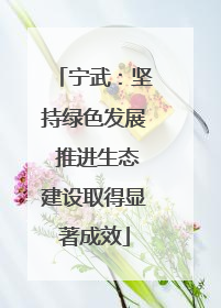 宁武：坚持绿色发展 推进生态建设取得显著成效
