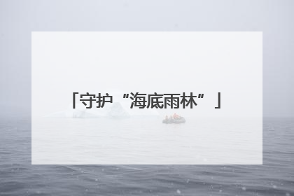 守护“海底雨林”