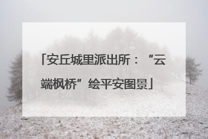 安丘城里派出所：“云端枫桥”绘平安图景
