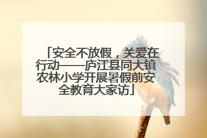 安全不放假，关爱在行动——庐江县同大镇农林小学开展暑假前安全教育大家访