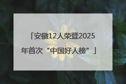 安徽12人荣登2025年首次“中国好人榜”