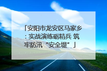 安阳市龙安区马家乡：实战演练砺精兵 筑牢防汛“安全堤”