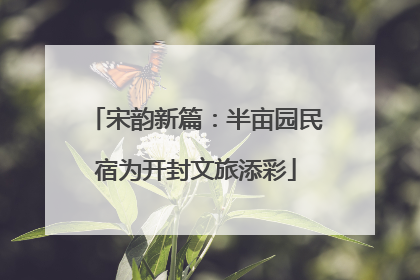 宋韵新篇：半亩园民宿为开封文旅添彩