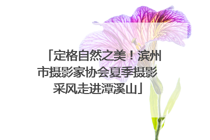 定格自然之美！滨州市摄影家协会夏季摄影采风走进潭溪山