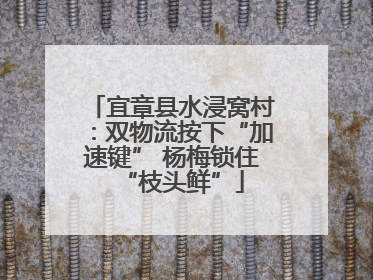 宜章县水浸窝村：双物流按下“加速键” 杨梅锁住“枝头鲜”