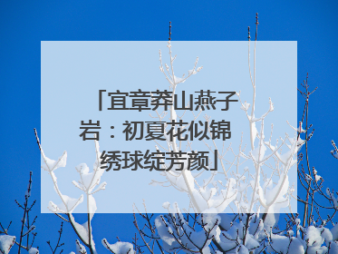 宜章莽山燕子岩：初夏花似锦 绣球绽芳颜
