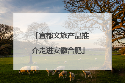 宜都文旅产品推介走进安徽合肥