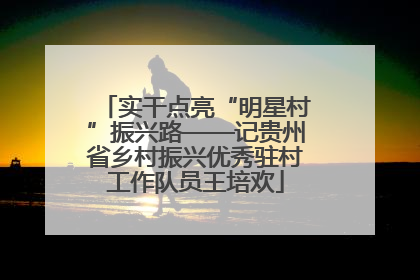 实干点亮“明星村”振兴路——记贵州省乡村振兴优秀驻村工作队员王培欢