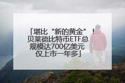 堪比“新的黄金”！贝莱德比特币ETF总规模达700亿美元 仅上市一年多