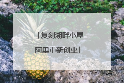 复刻湖畔小屋 阿里重新创业