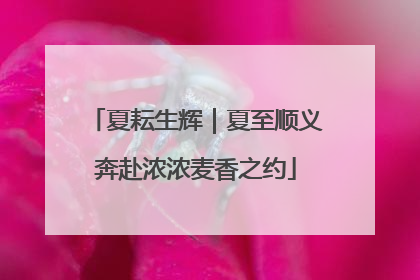 夏耘生辉｜夏至顺义奔赴浓浓麦香之约