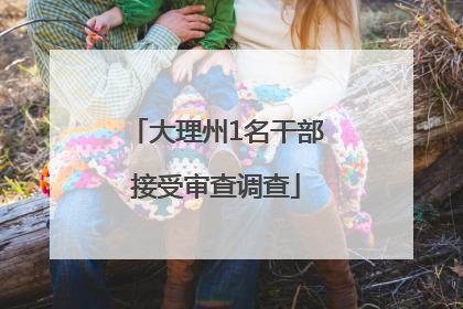 大理州1名干部接受审查调查